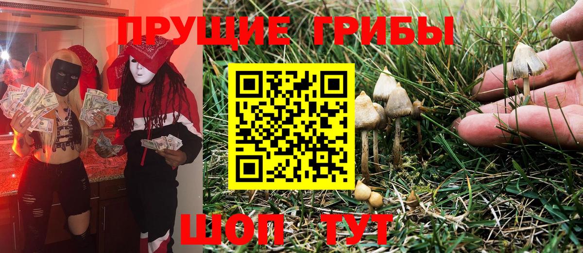 Галлюциногенные грибы Psilocybine cubensis Краснокаменск